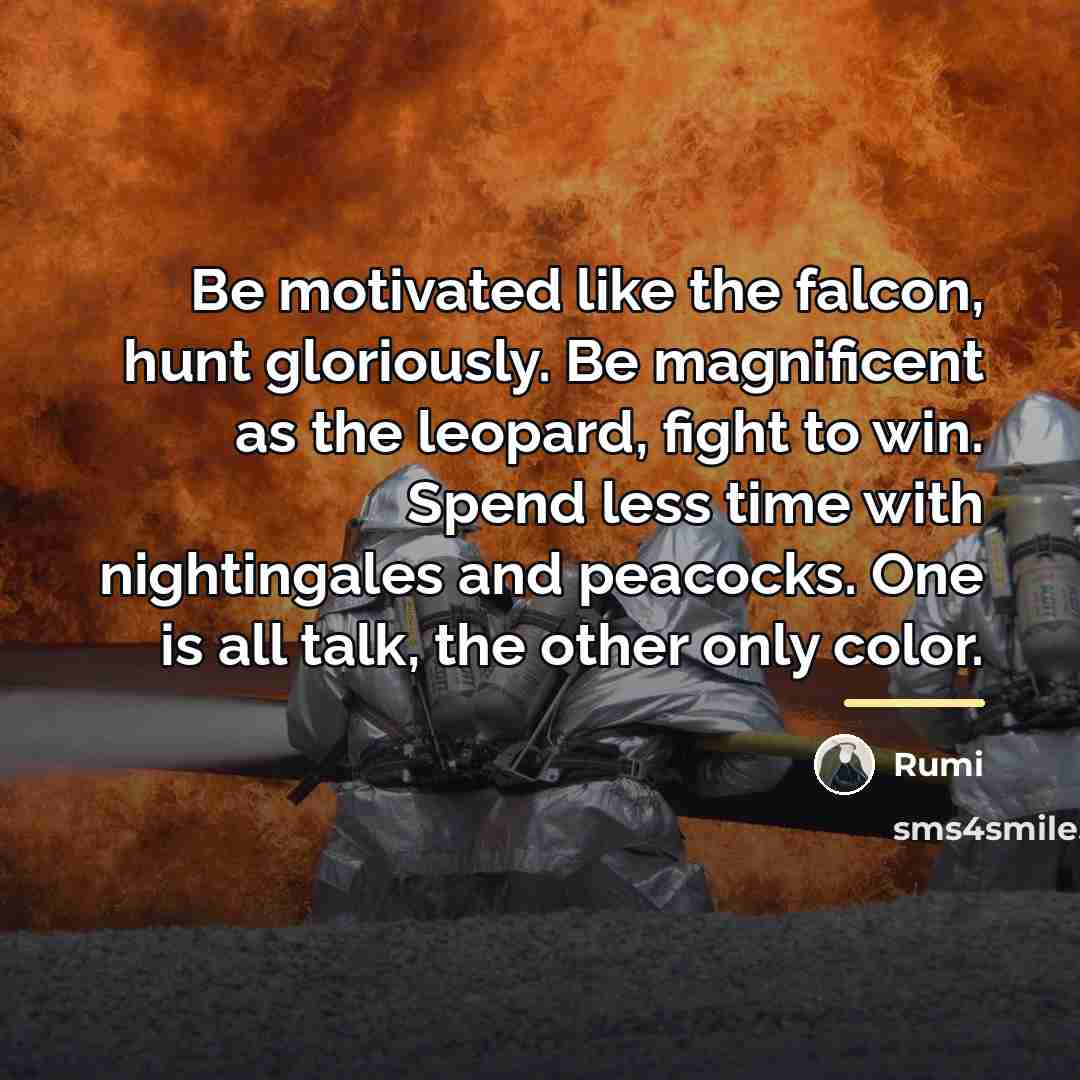 “Be motivated like the falcon, hunt gloriously. Be magnificent as…” quote by Rumi