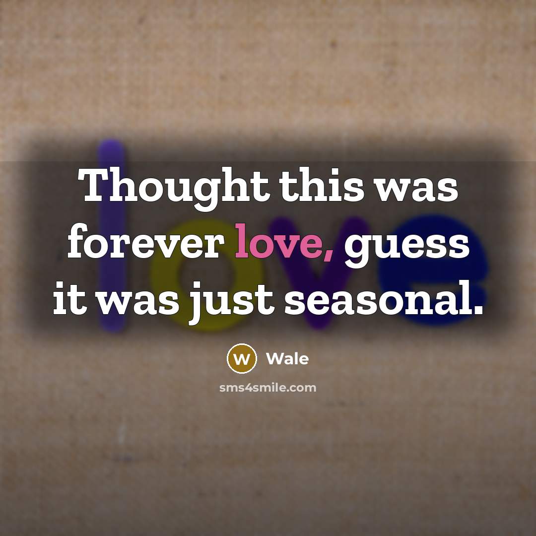 “Thought this was forever love, guess it was just seasonal.” quote by Wale