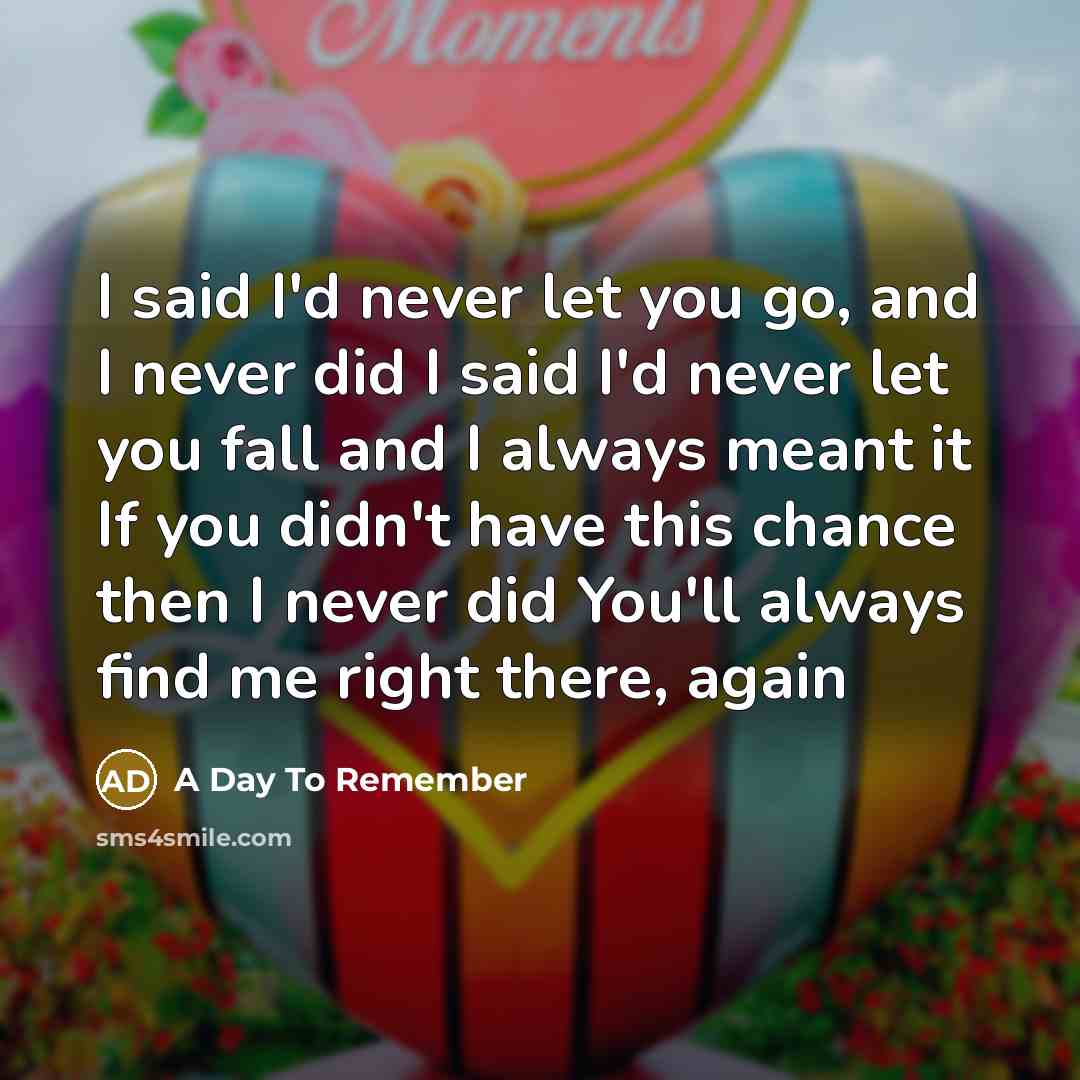 “I said I'd never let you go, and I never…” quote by A Day To Remember