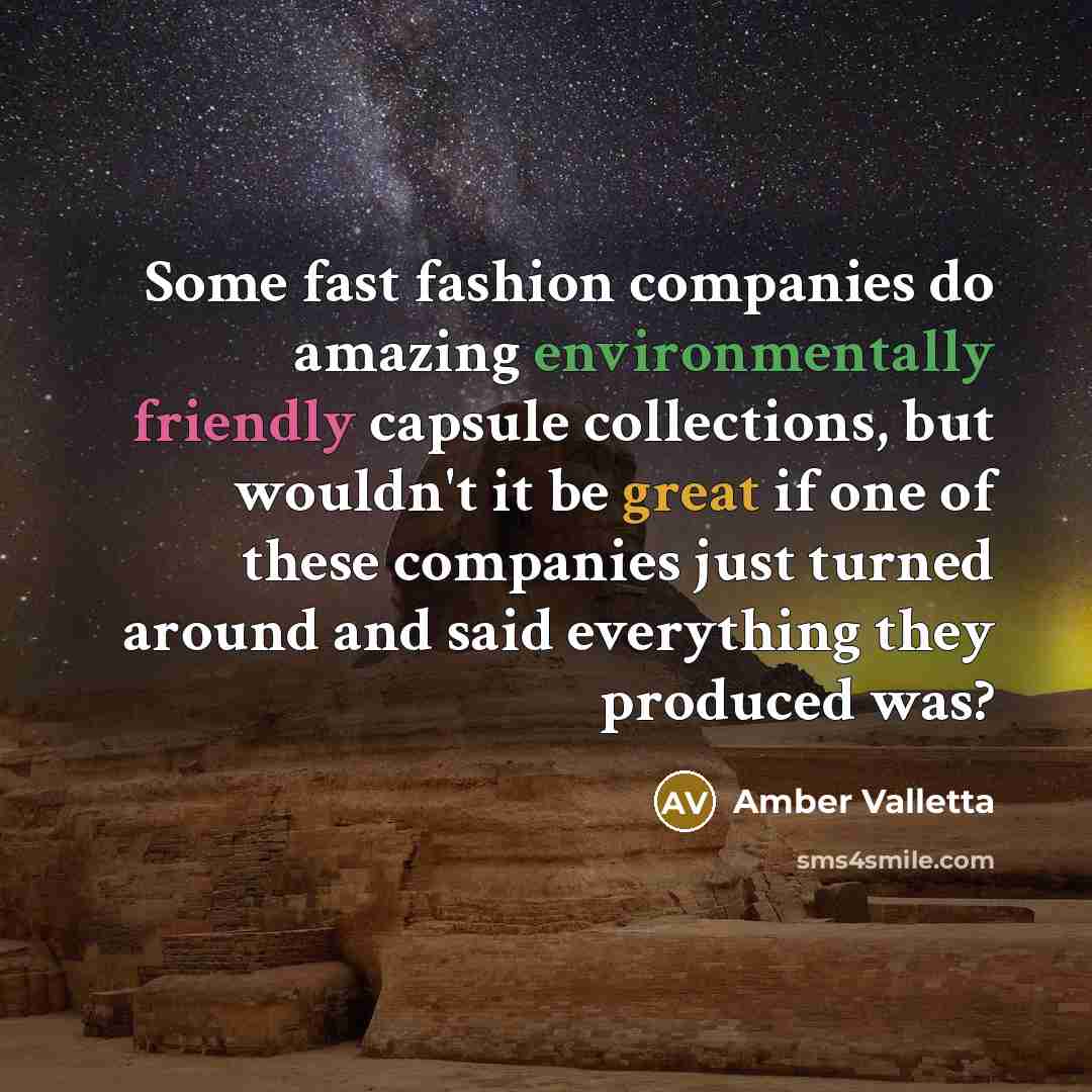 “Some fast fashion companies do amazing environmentally friendly capsule collections,…” quote by Amber Valletta