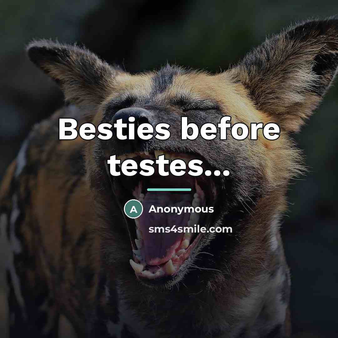 “Besties before testes...…” quote by Anonymous