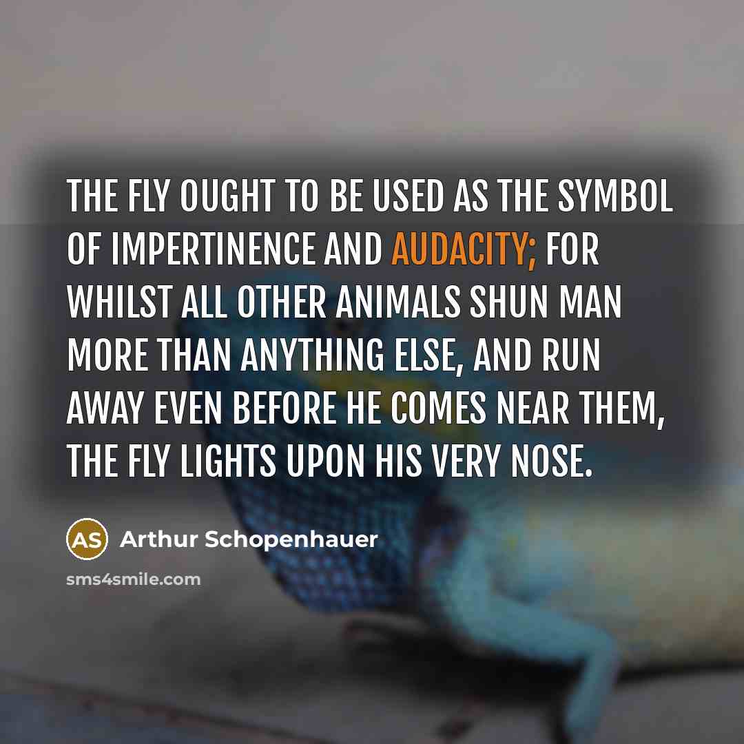 “The fly ought to be used as the symbol of…” quote by Arthur Schopenhauer