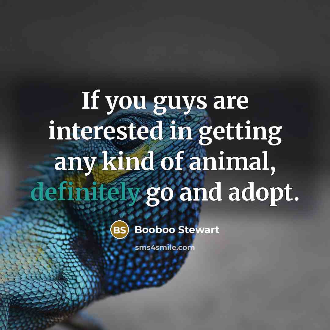 “If you guys are interested in getting any kind of animal, definitely go and adopt.” quote by Booboo Stewart