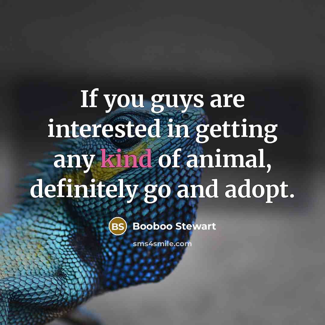 “If you guys are interested in getting any kind of…” quote by Booboo Stewart