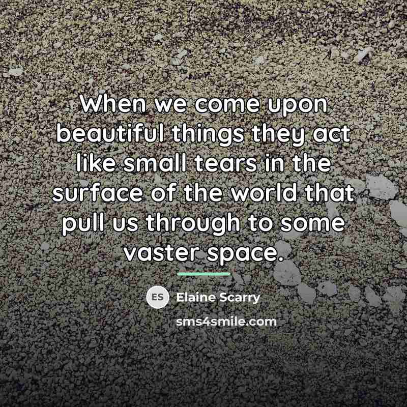 “When we come upon beautiful things they act like small…” quote by Elaine Scarry