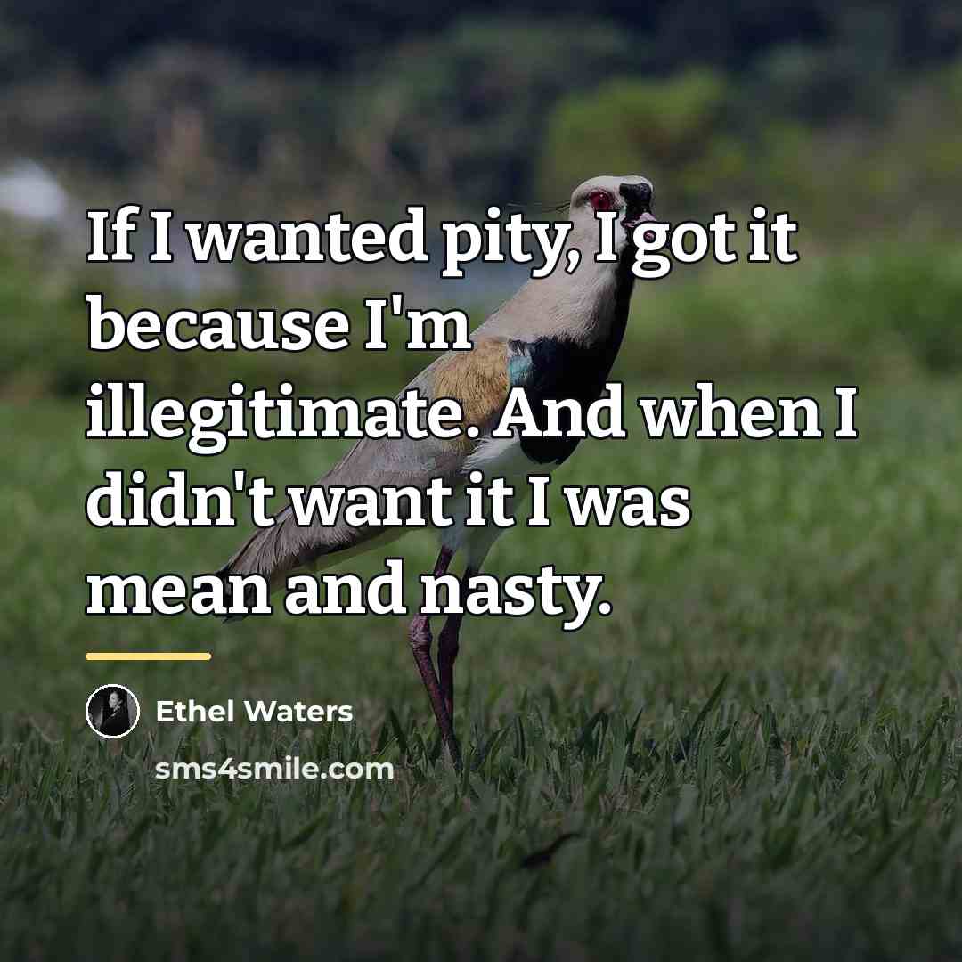 “If I wanted pity, I got it because I'm illegitimate.…” quote by Ethel Waters