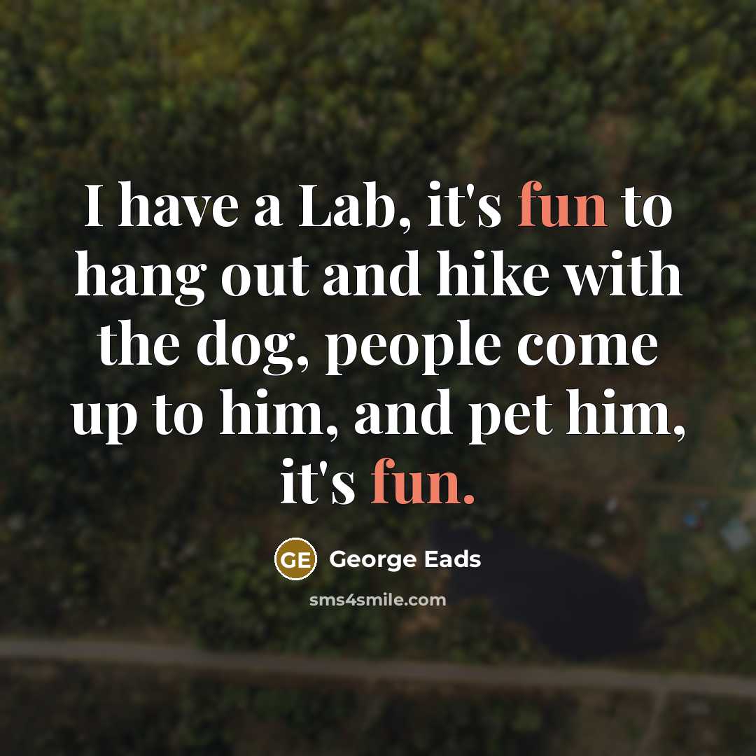 “I have a Lab, it's fun to hang out and…” quote by George Eads