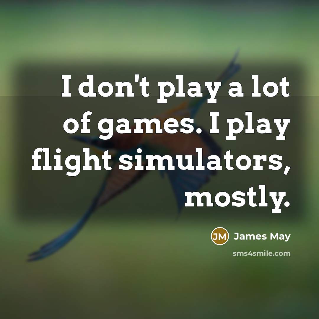 “I don't play a lot of games. I play flight…” quote by James May