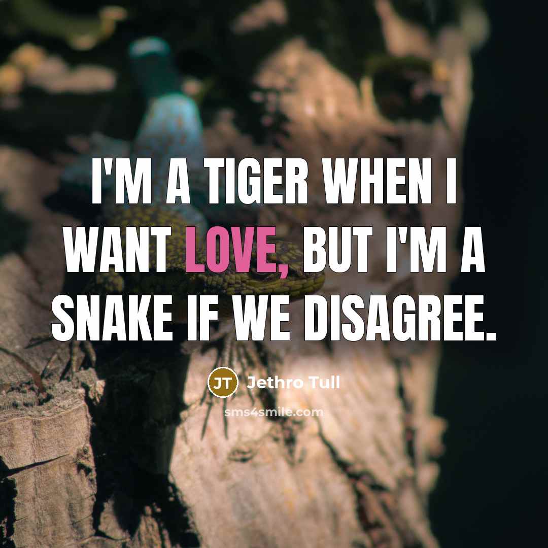 “I'm a tiger when I want love, but I'm a…” quote by Jethro Tull