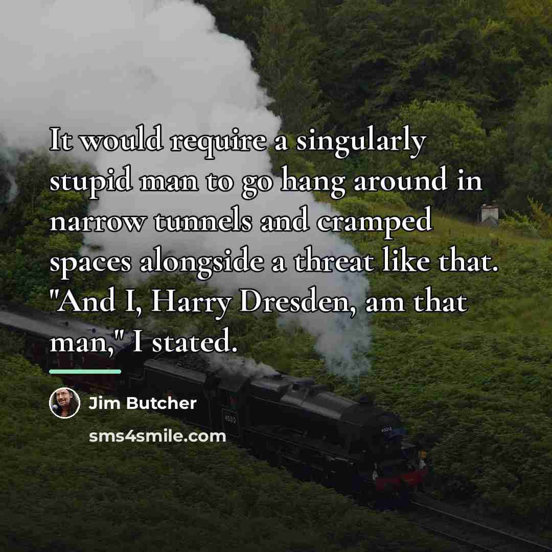 “It would require a singularly stupid man to go hang…” quote by Jim Butcher
