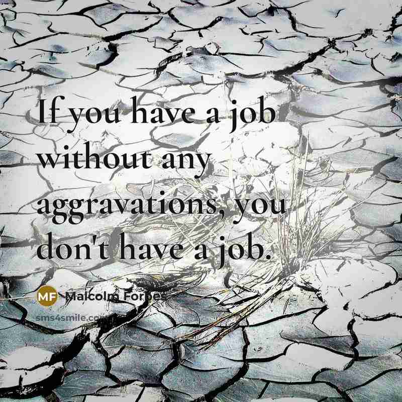 “If you have a job without any aggravations, you don't…” quote by Malcolm Forbes