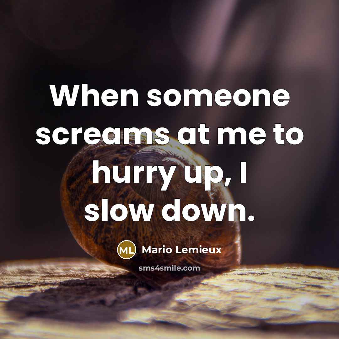 “When someone screams at me to hurry up, I slow…” quote by Mario Lemieux