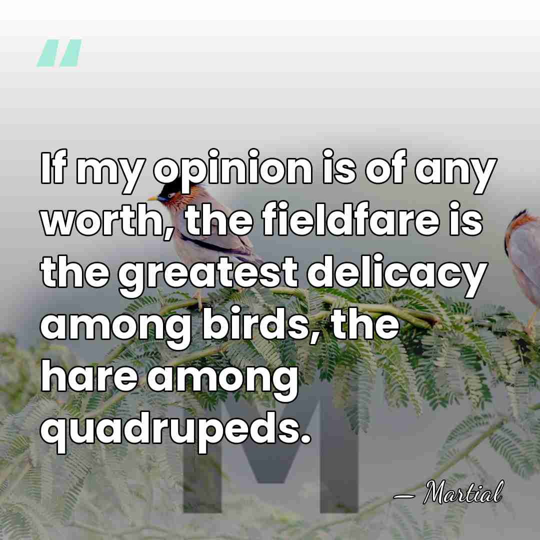 If my opinion is of any worth, the fieldfare is the greatest&hellip; - Martial