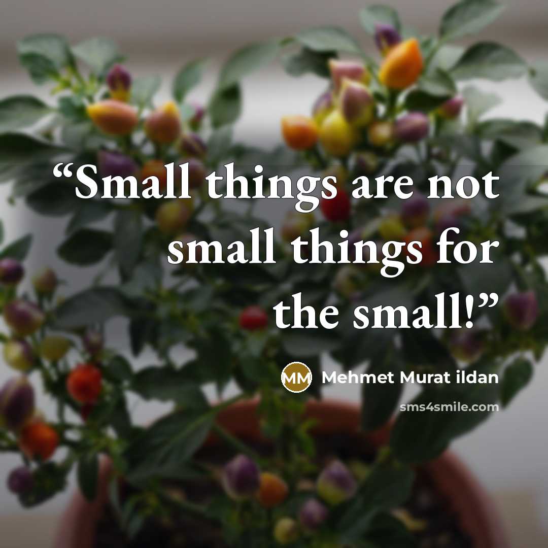 “Small things are not small things for the small!” quote by Mehmet Murat ildan