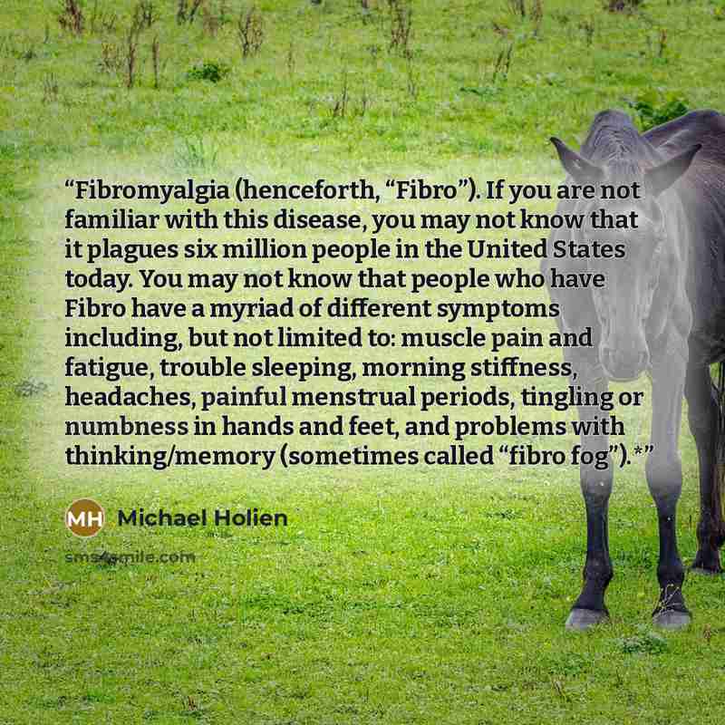 “Fibromyalgia (henceforth, “Fibro”). If you are not familiar with this disease, you may not know that it plagues six million people in the United States today. You may not know that people who have Fibro have a myriad of different symptoms including, but not limited to: muscle pain and fatigue…” quote by Michael Holien