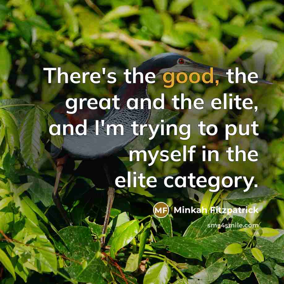 “There's the good, the great and the elite, and I'm…” quote by Minkah Fitzpatrick