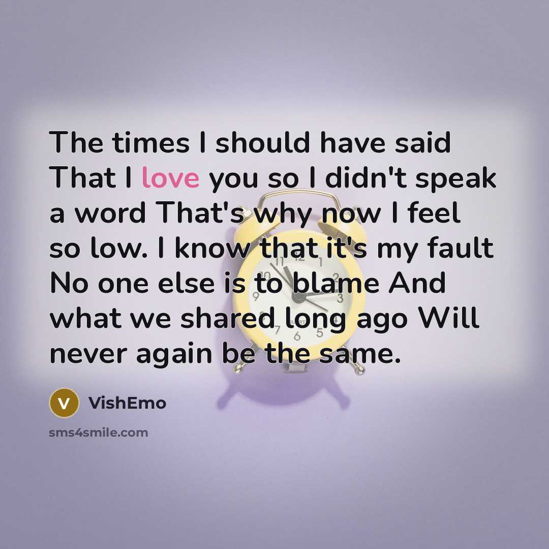 “The times I should have said That I love you…” quote by VishEmo
