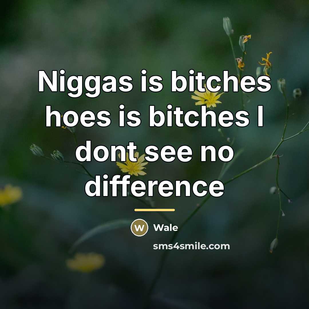 “Niggas is bitches hoes is bitches I dont see no…” quote by Wale