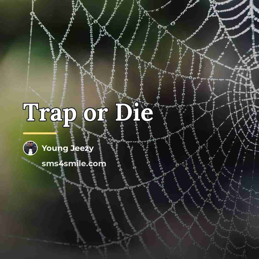 “Trap or Die…” quote by Young Jeezy