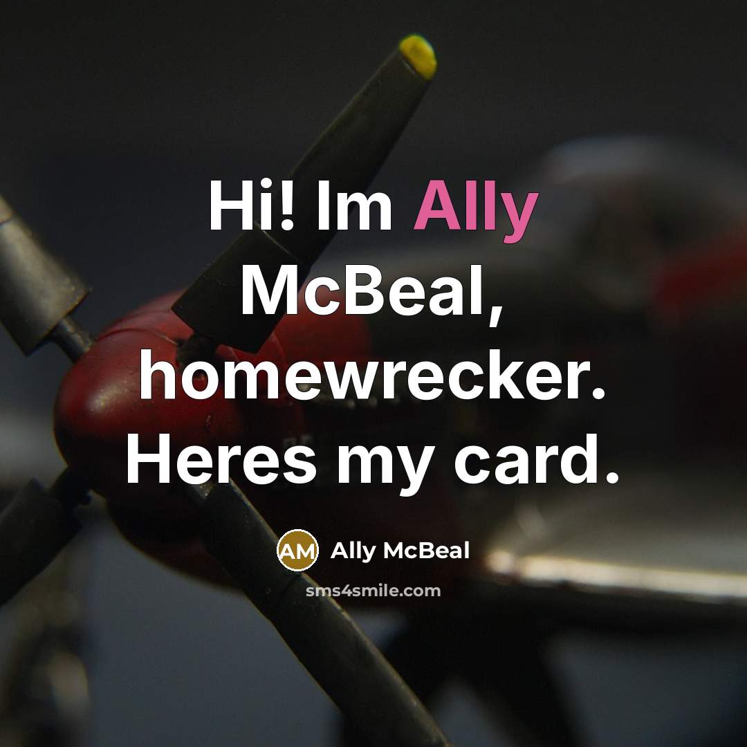 “Hi! Im Ally McBeal, homewrecker. Heres my card.…” quote by Ally McBeal