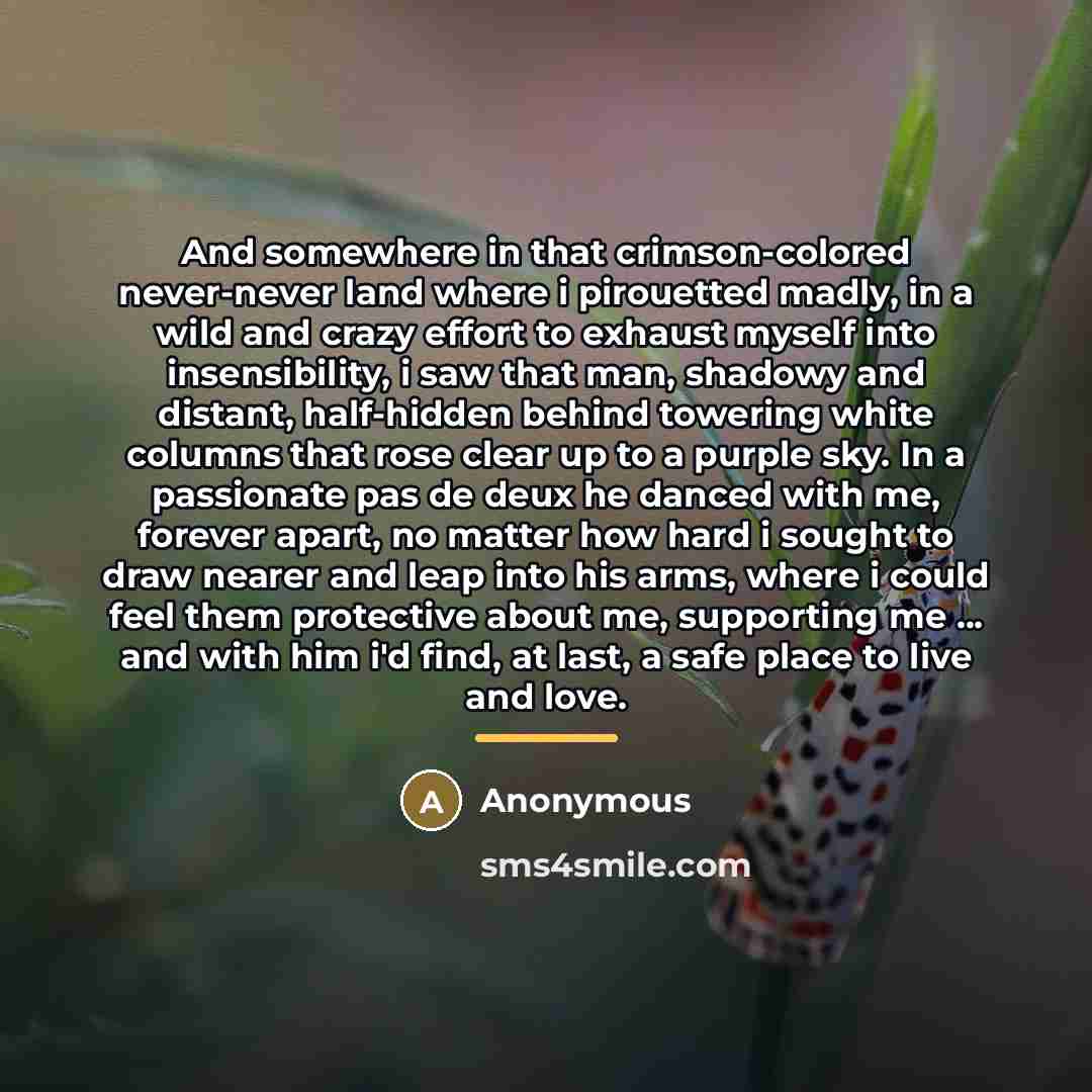 “And somewhere in that crimson-colored never-never land where i pirouetted…” quote by Anonymous