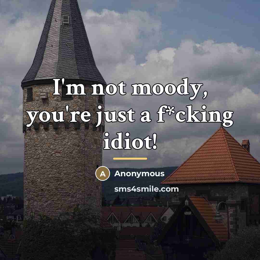 “I'm not moody, you're just a f*cking idiot!…” quote by Anonymous