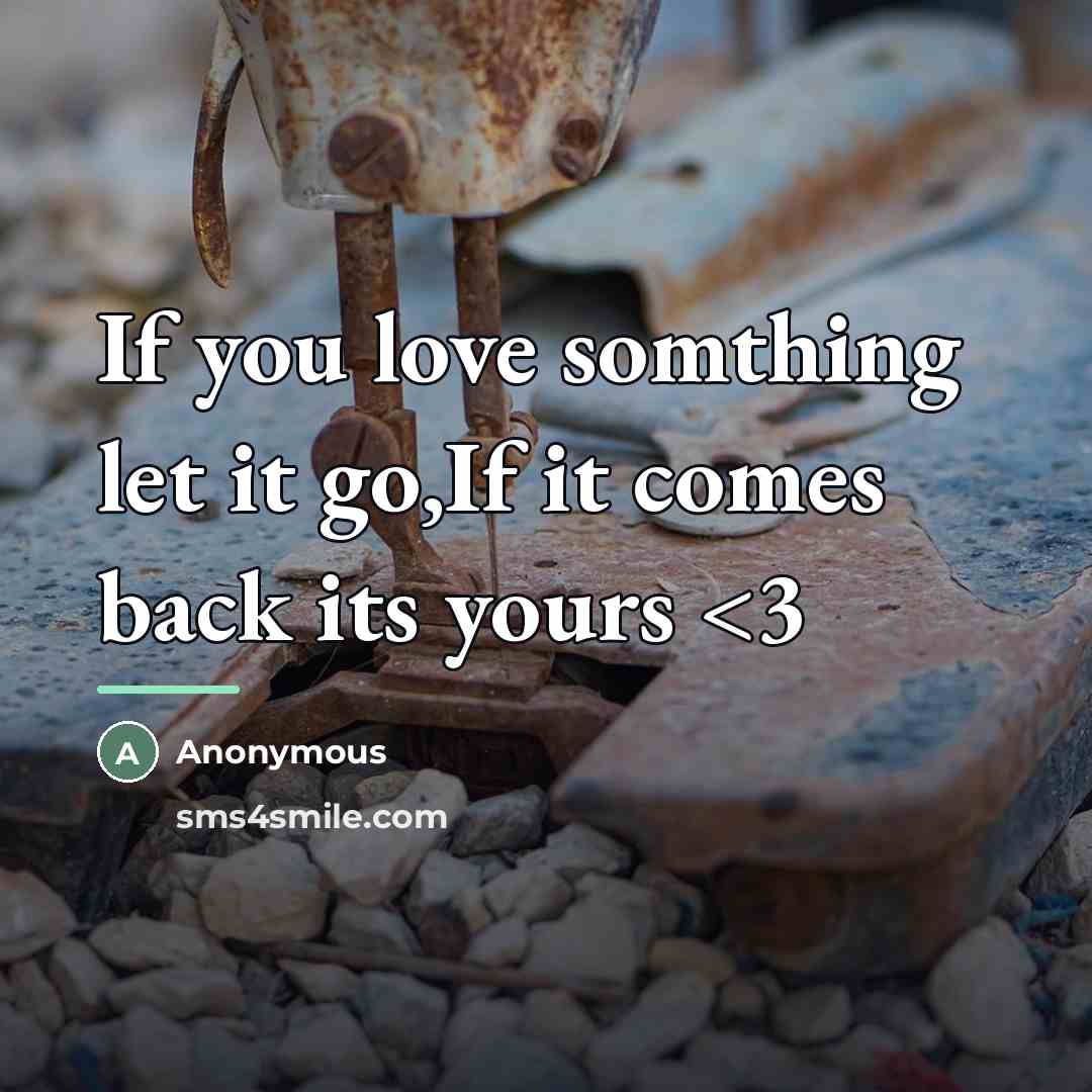 “If you love somthing let it go,If it comes back…” quote by Anonymous