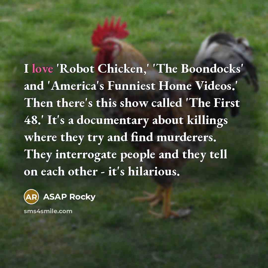 “I love 'Robot Chicken,' 'The Boondocks' and 'America's Funniest Home…” quote by ASAP Rocky