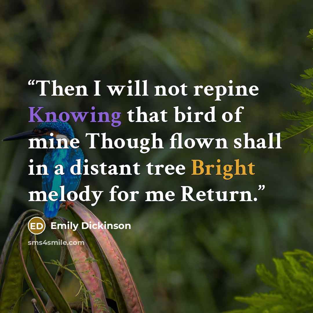 “Then I will not repine Knowing that bird of mine Though flown shall in a distant tree Bright melody for me Return.” quote by Emily Dickinson