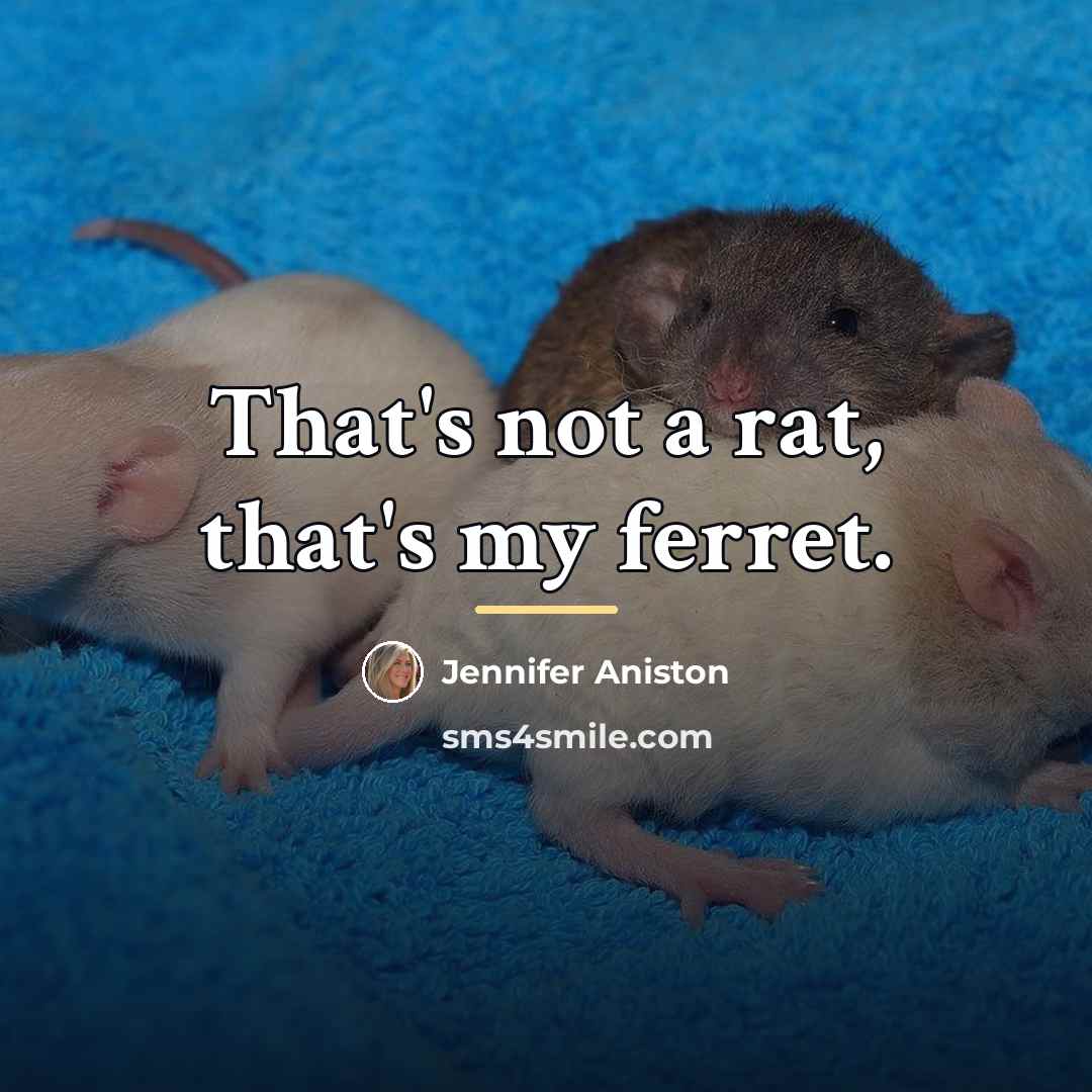“That's not a rat, that's my ferret.…” quote by Jennifer Aniston