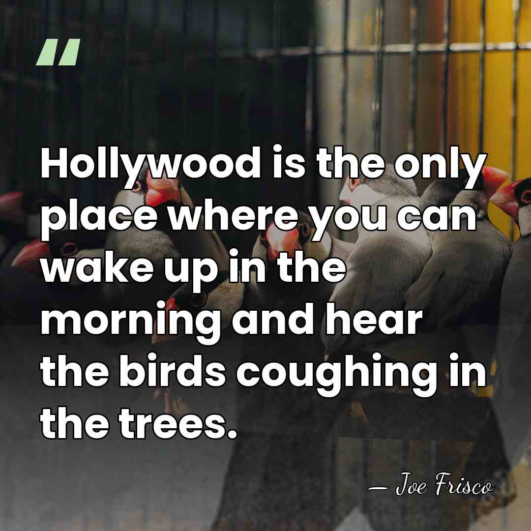 Hollywood is the only place where you can wake up in the&hellip; - Joe Frisco