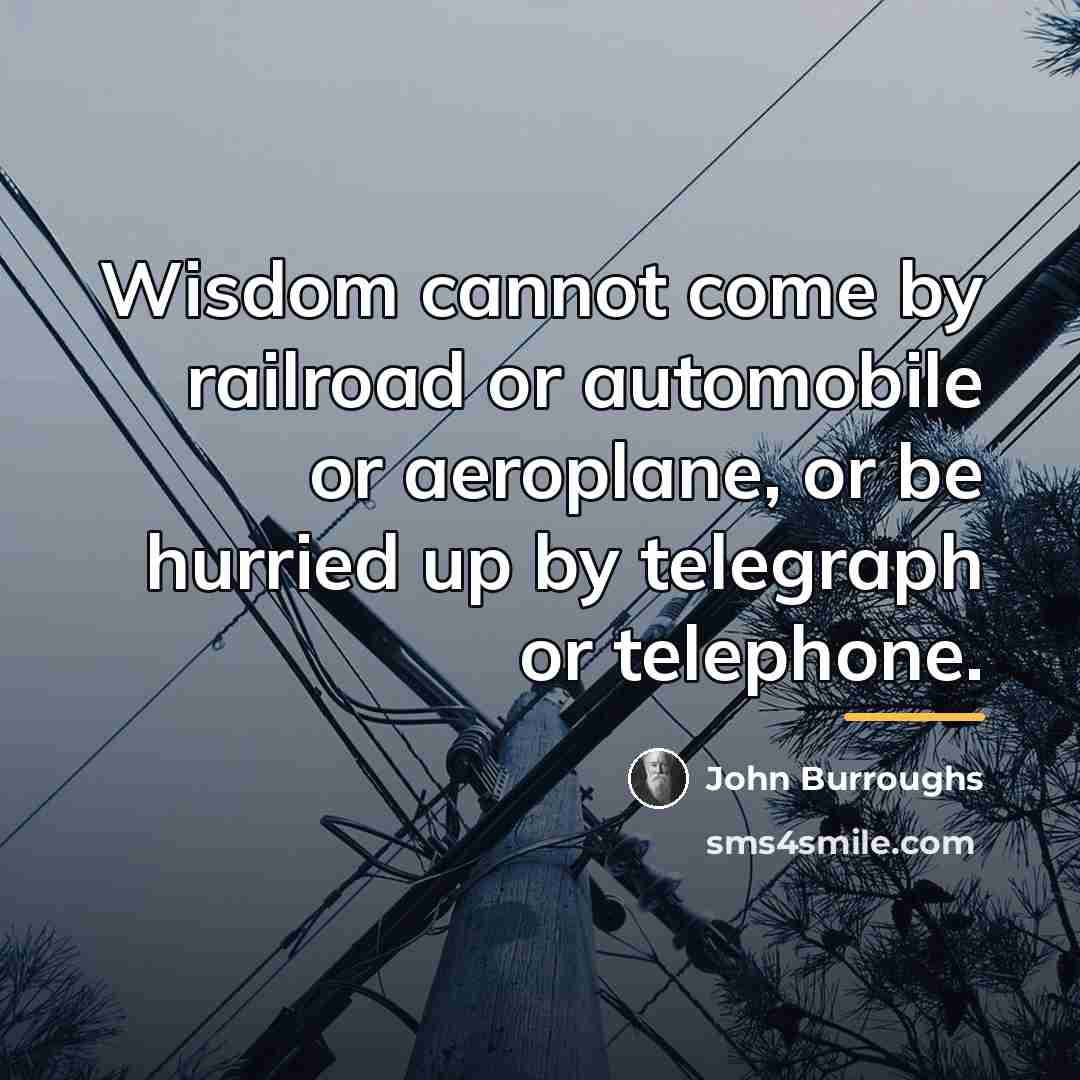 “Wisdom cannot come by railroad or automobile or aeroplane, or…” quote by John Burroughs
