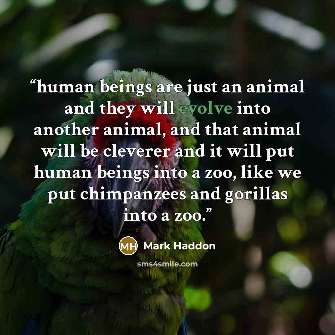 “human beings are just an animal and they will evolve into another animal, and that animal will be cleverer and it will put human beings into a zoo, like we put chimpanzees and gorillas into a zoo.” quote by Mark Haddon