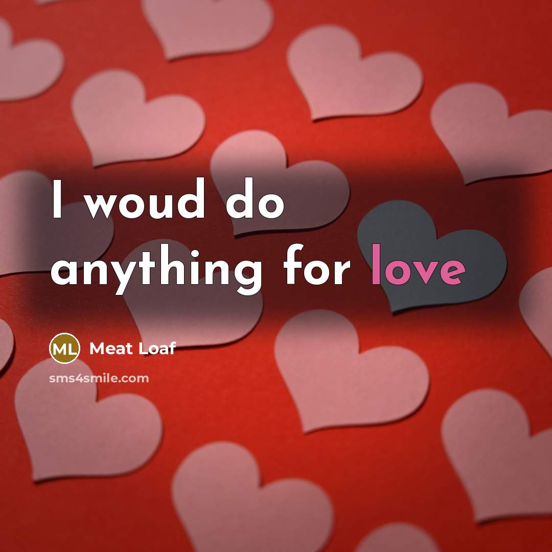 “I woud do anything for love…” quote by Meat Loaf