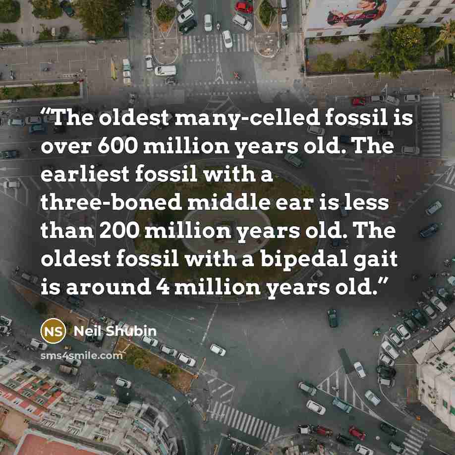 “The oldest many-celled fossil is over 600 million years old. The earliest fossil with a three-boned middle ear is less than 200 million years old. The oldest fossil with a bipedal gait is around 4 million years old.” quote by Neil Shubin