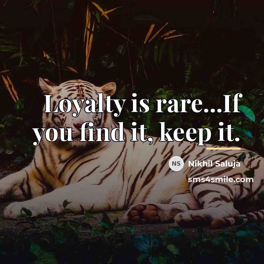 “Loyalty is rare...If you find it, keep it.…” quote by Nikhil Saluja