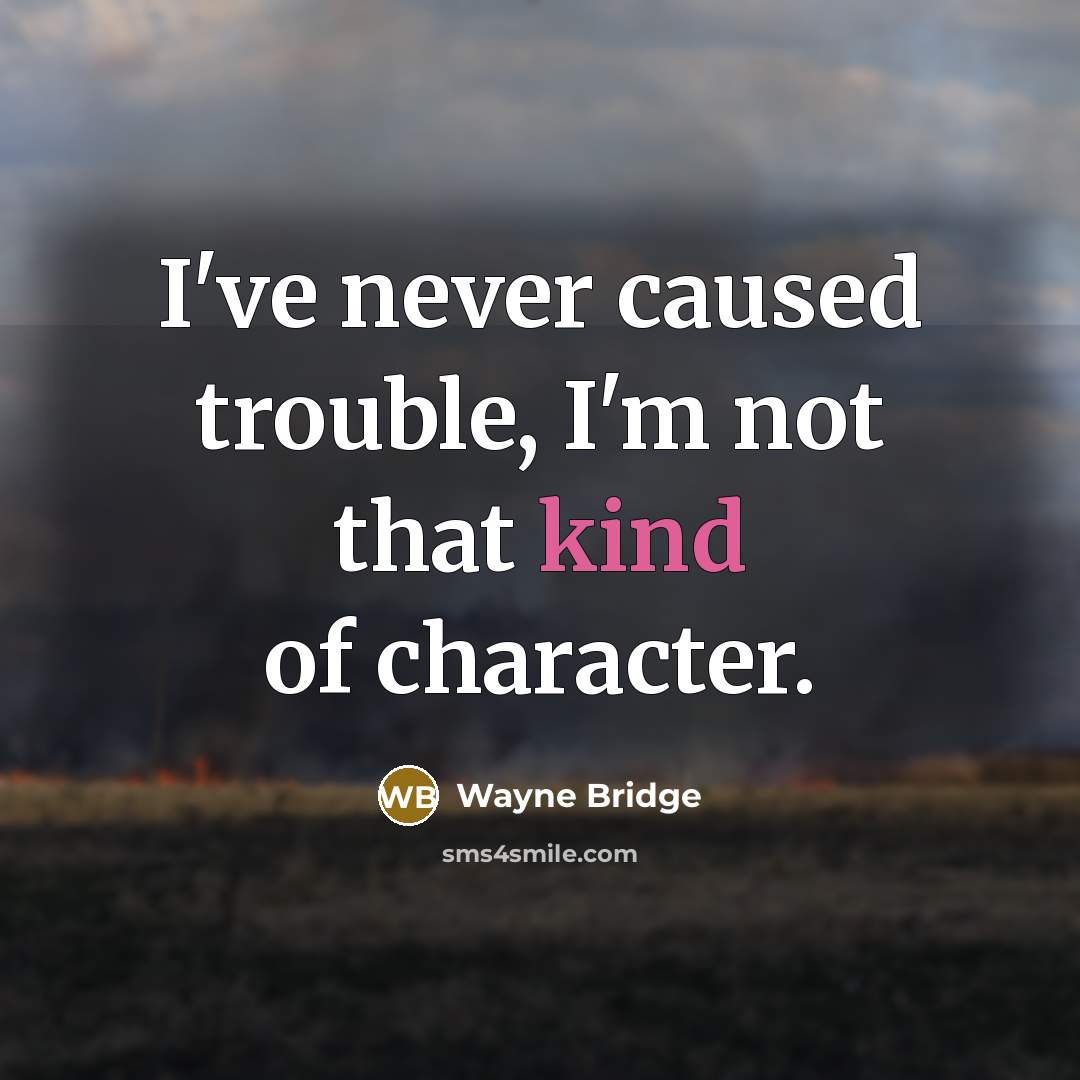 “I've never caused trouble, I'm not that kind of character.…” quote by Wayne Bridge