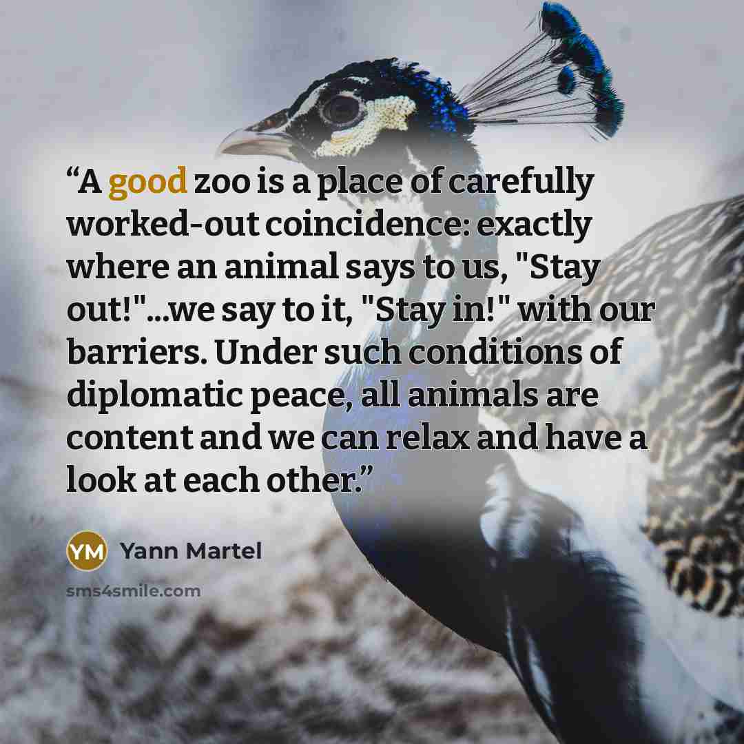 “A good zoo is a place of carefully worked-out coincidence: exactly where an animal says to us, "Stay out!"...we say to it, "Stay in!" with our barriers. Under such conditions of diplomatic peace, all animals are content and we can relax and have a look at each other.” quote by Yann Martel