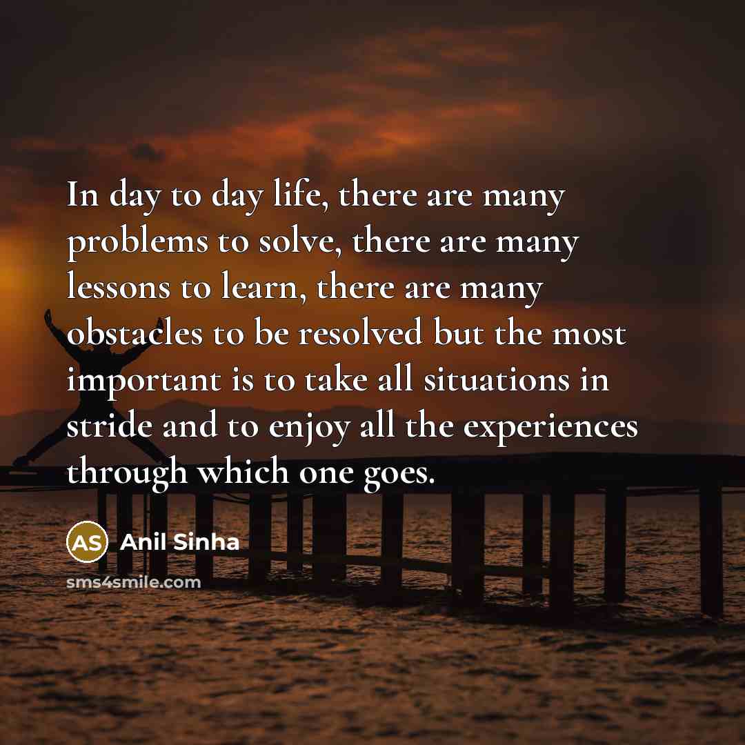 “In day to day life, there are many problems to…” quote by Anil Sinha