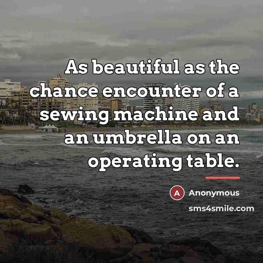 “As beautiful as the chance encounter of a sewing machine…” quote by Anonymous