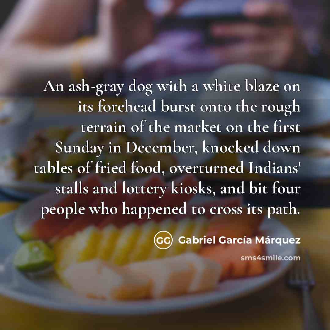 “An ash-gray dog with a white blaze on its forehead…” quote by Gabriel Garcia Marquez