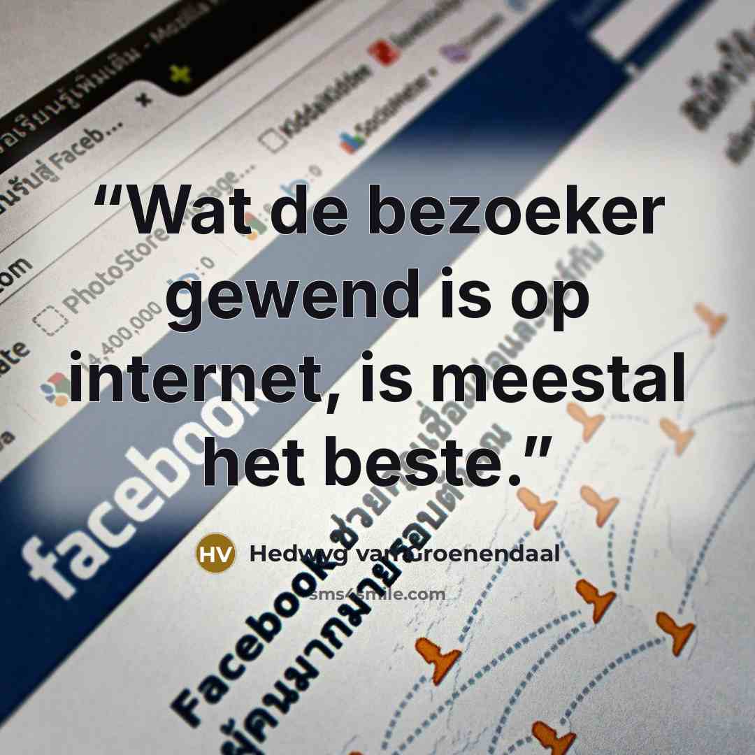 “Wat de bezoeker gewend is op internet, is meestal het beste.” quote by Hedwyg van Groenendaal