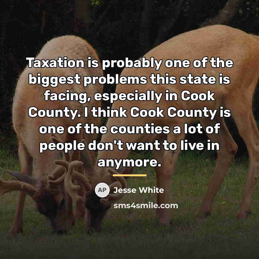 “Taxation is probably one of the biggest problems this state…” quote by Jesse White