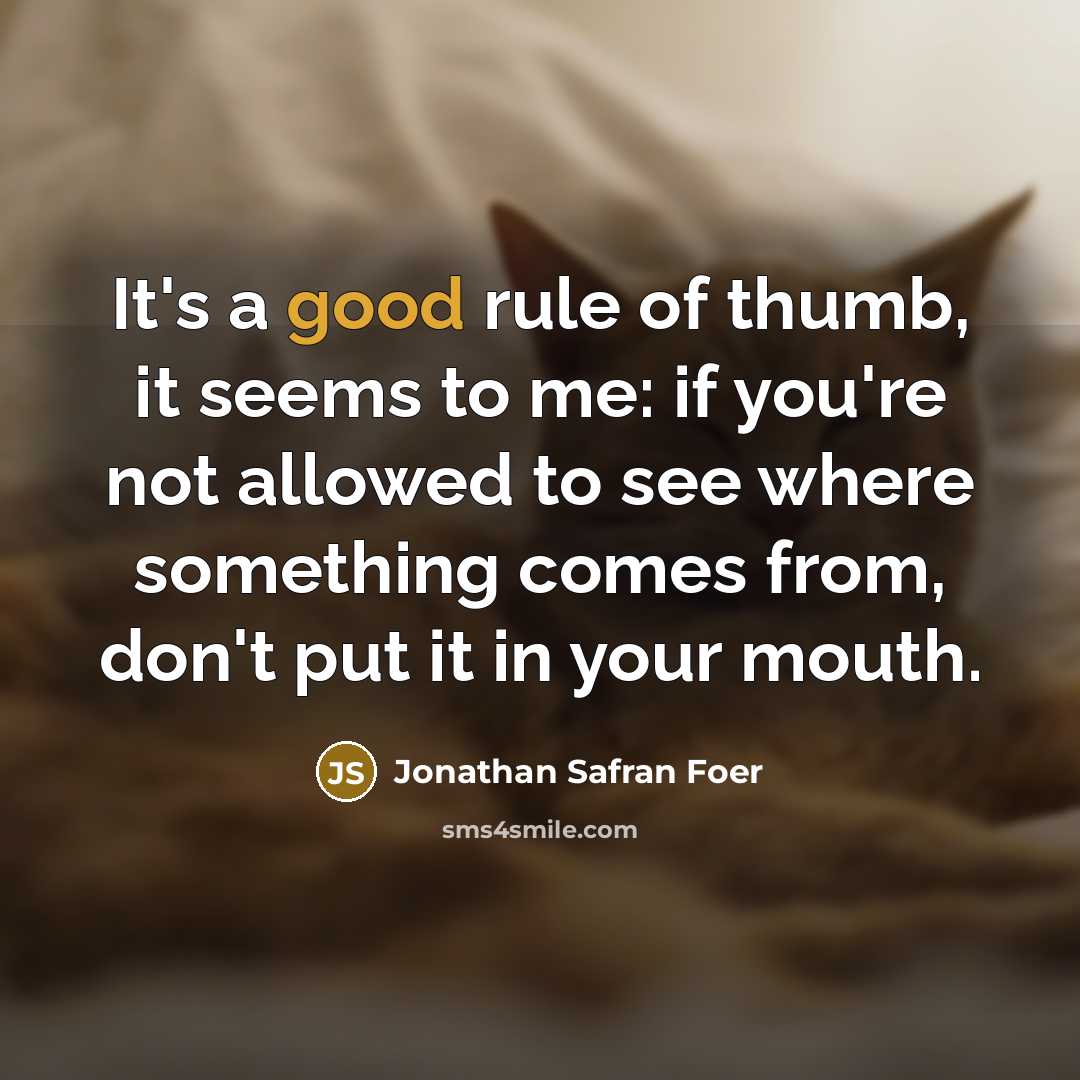 “It's a good rule of thumb, it seems to me:…” quote by Jonathan Safran Foer