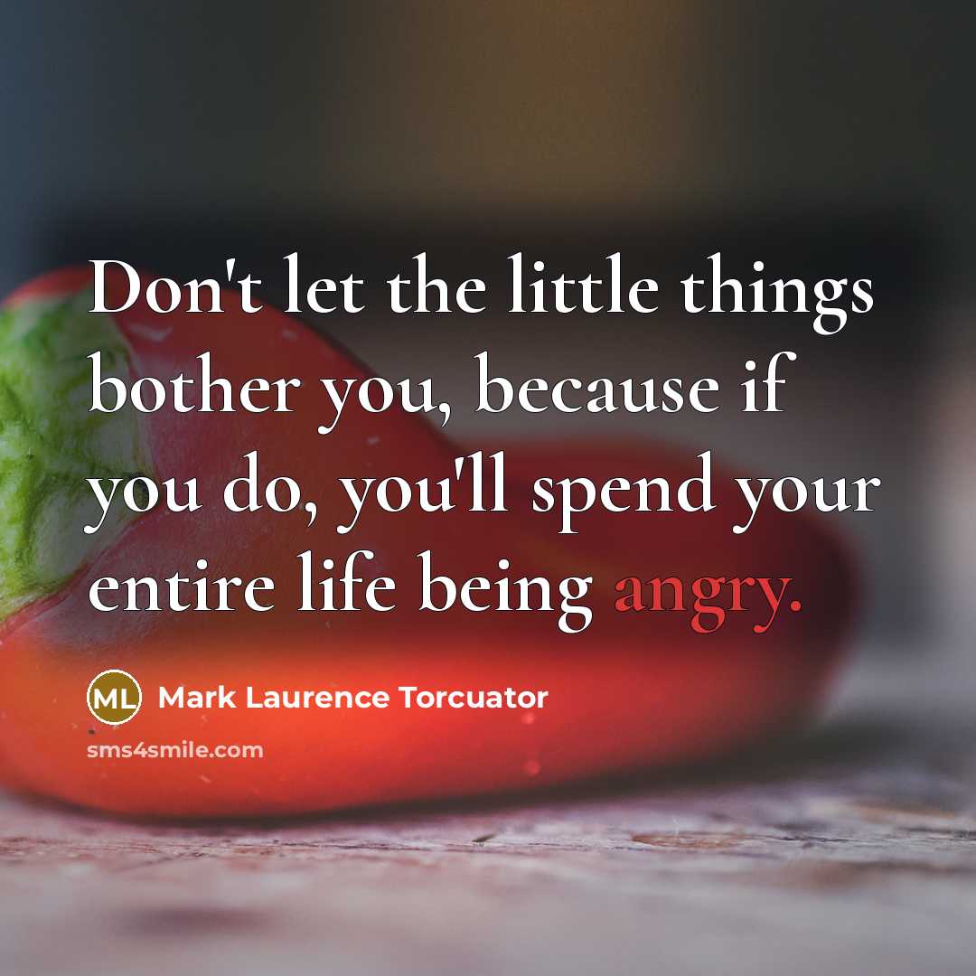 “Don't let the little things bother you, because if you…” quote by Mark Laurence Torcuator