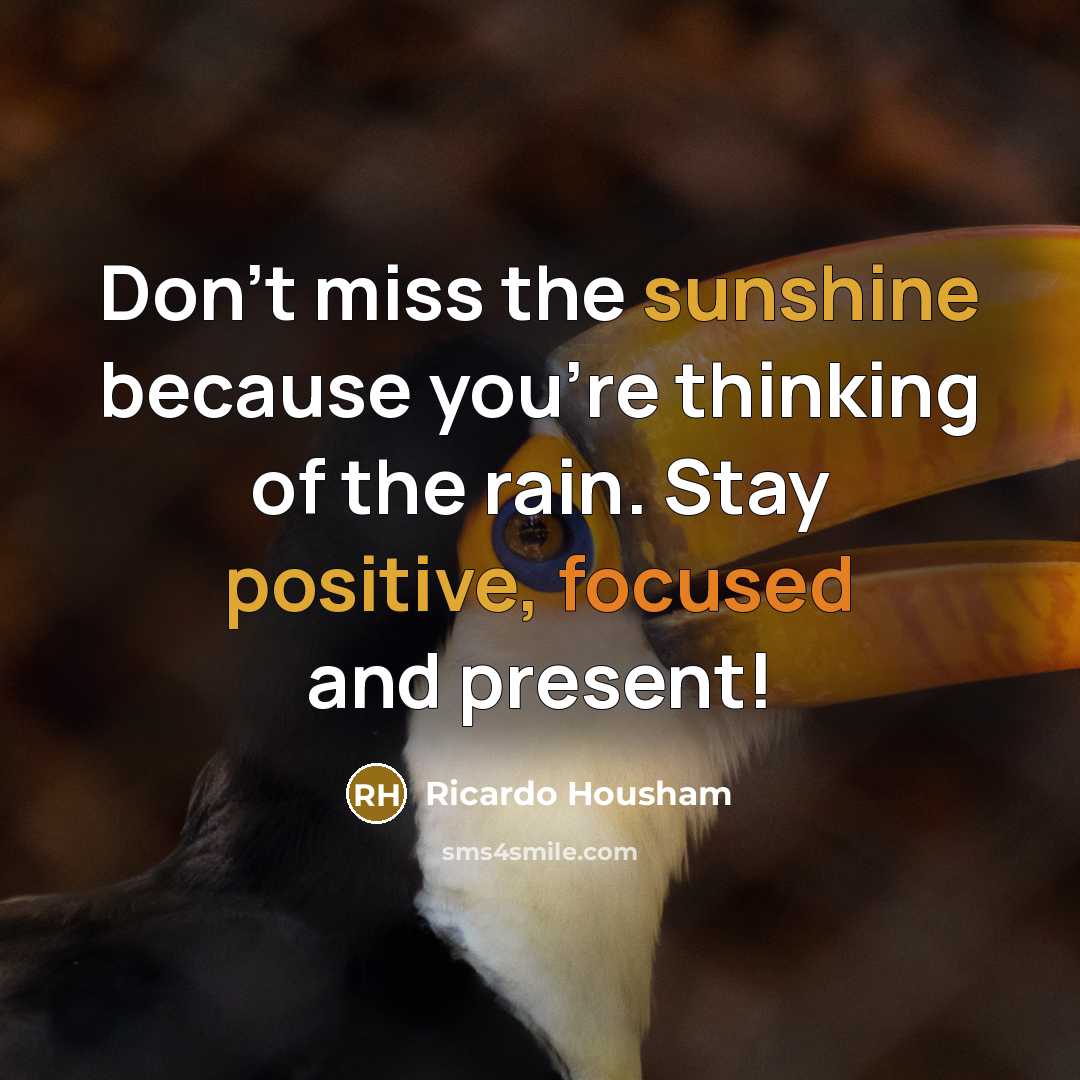 “Don't miss the sunshine because you're thinking of the rain.…” quote by Ricardo Housham