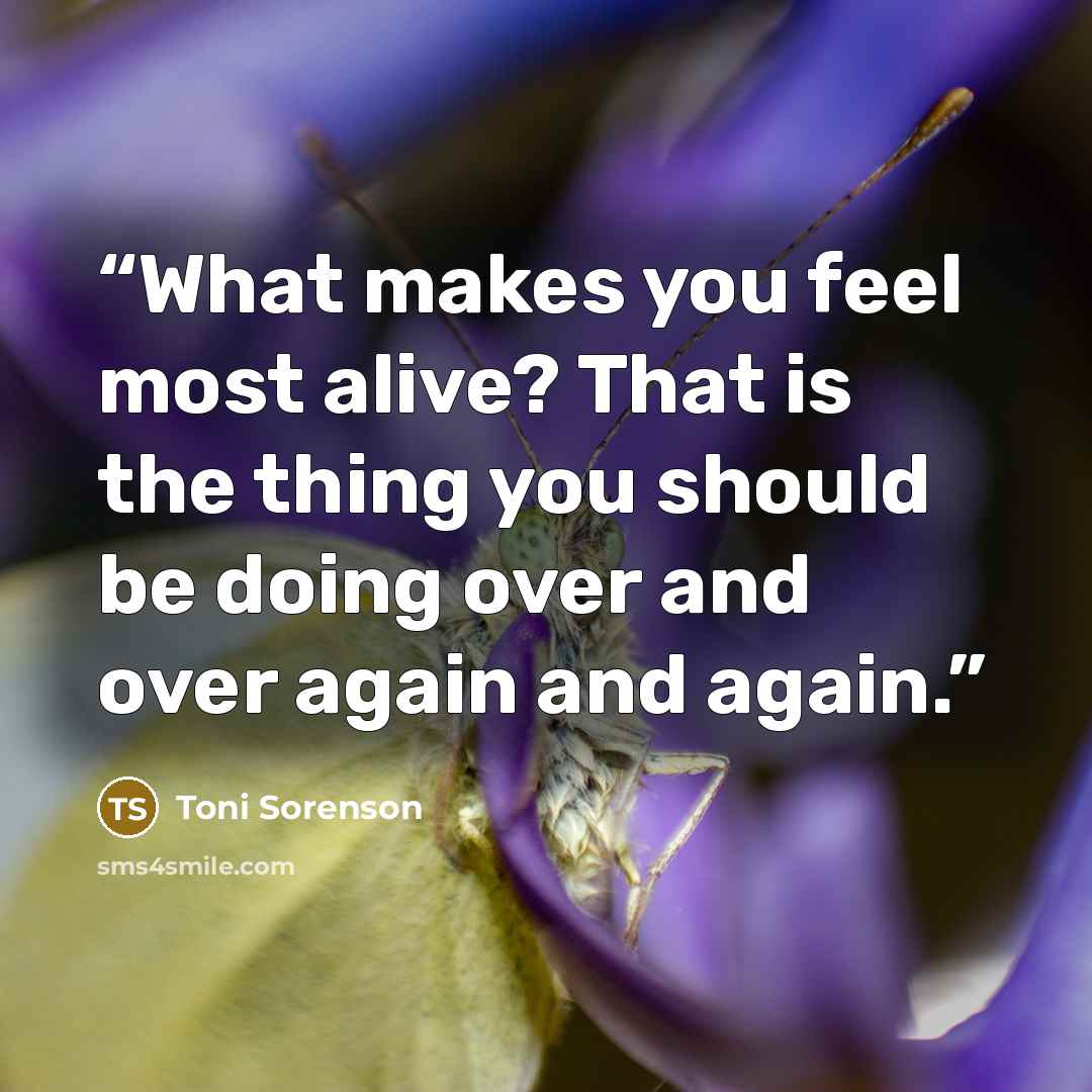 “What makes you feel most alive? That is the thing you should be doing over and over again and again.” quote by Toni Sorenson