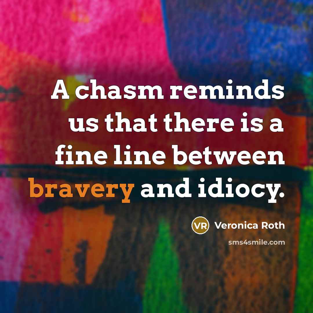 “A chasm reminds us that there is a fine line…” quote by Veronica Roth