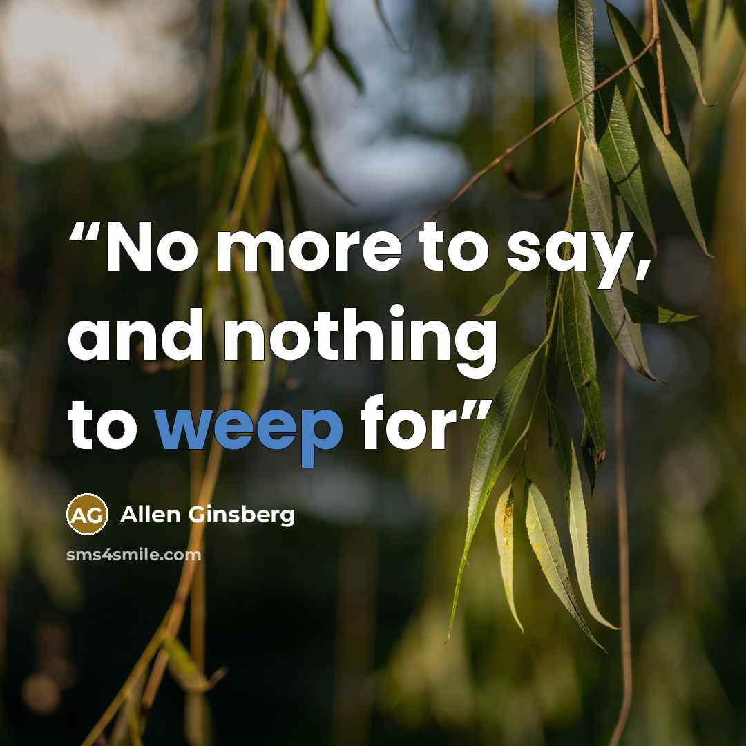 “No more to say, and nothing to weep for” quote by Allen Ginsberg