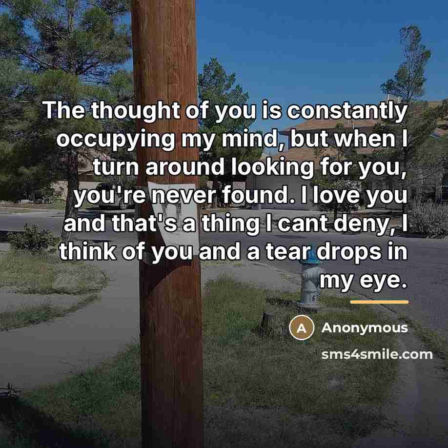 “The thought of you is constantly occupying my mind, but…” quote by Anonymous